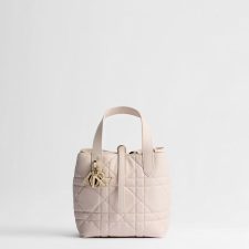 Small Dior Toujours vertical handbag