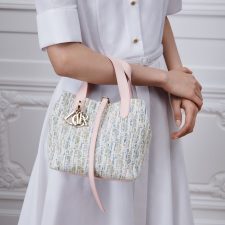 Small Dior Toujours vertical handbag