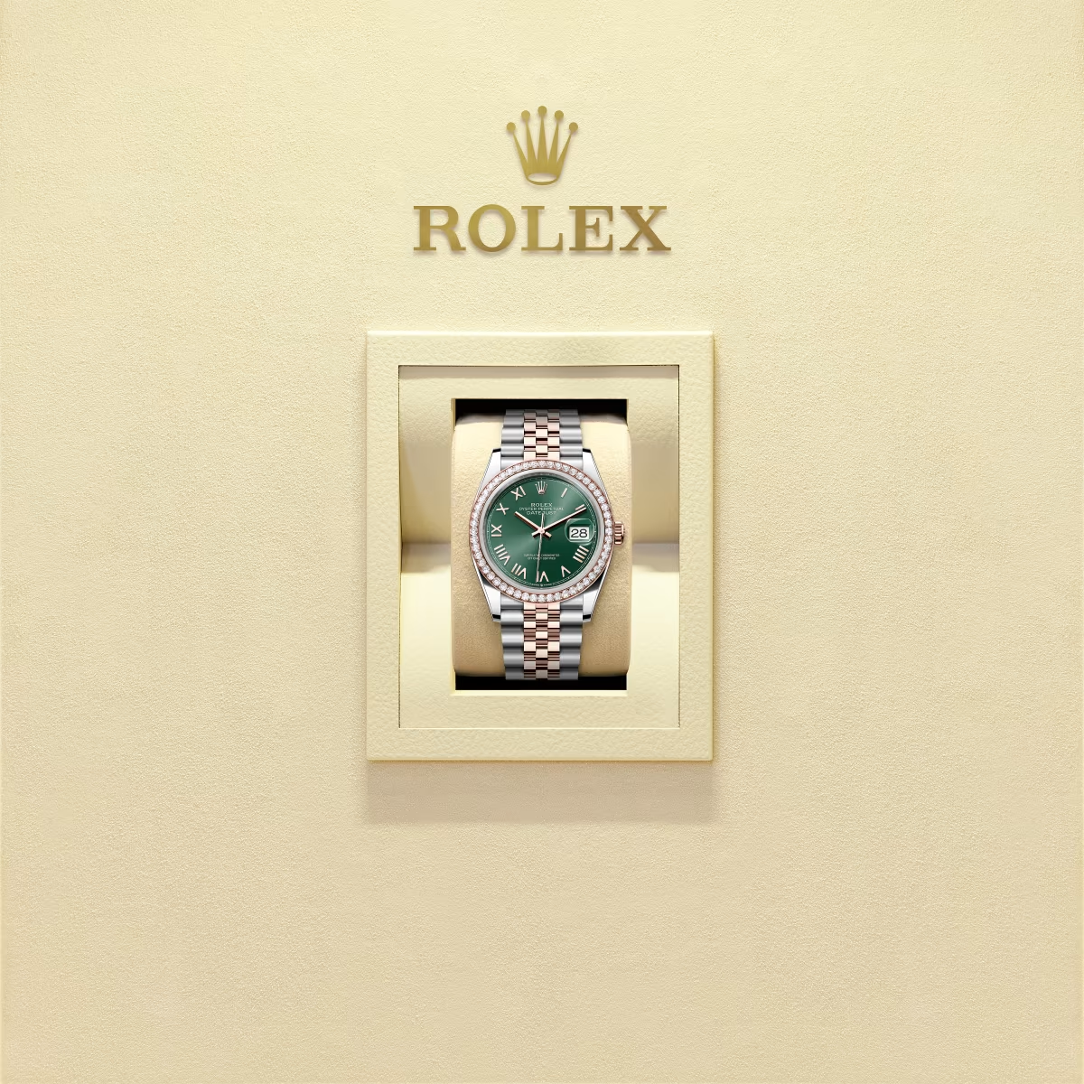 Log type 36 Oyster style, 36mm, diamond, eternal rose gold and oyster steel Model 126281RBR - Image 2